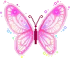 pink butterfly