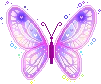 purple butterfly