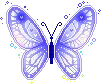 blue butterfly