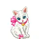 Cute Kitten