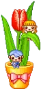 tulip kids