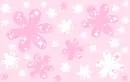 pink flowers