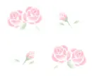 pink roses