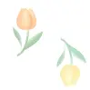 yellow tulips