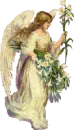 lill angel
