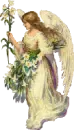 lill angel