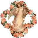 roses angel