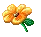 yellow Flower