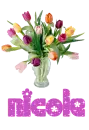 Nicole<Request One With Your Name>