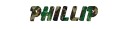 Camo Glitter Phillip