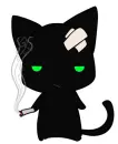 my cat