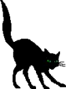 Black cat scary