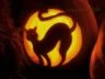 pumpkin of black cat