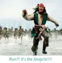 Jack Sparrow