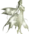 rainbow faery