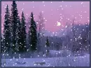 purple night