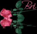 Bri-Pink Flower