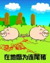 pigs