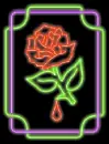 ROSE30