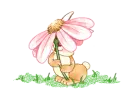 cute little bunny