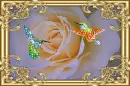 ROSE_HUMMINGBIRDS