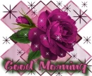 Have a perfect day