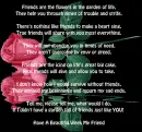 Friendship