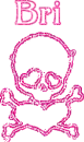Bri-Pink Skull