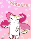 dancing cat