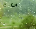 cute on a window for rainy days