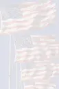 Flags