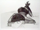 royo lady