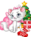 cute kitty