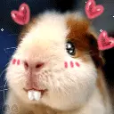 cute bunny in love