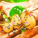 kumquat family sleeping