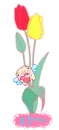 tulip flowers