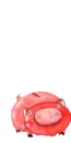 the pig wants your coins
