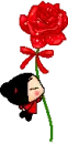 Pucca Rose