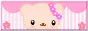cute teddy box