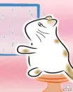 cat watching the rain falling