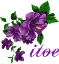 itoe-purple flower
