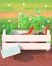 growing plant with hearts