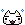 cute cat new