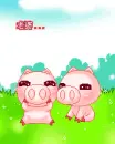 cute pigs in love