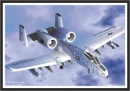 a-10 airplane