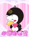 cute penguin in love