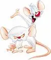 I,ve got something to say.......i,ts better to burn out.....than to fade away