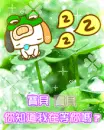 froggy dog sleeping