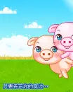 cute little pig playing