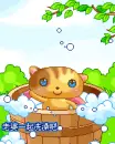 cute kitty cats having a bath